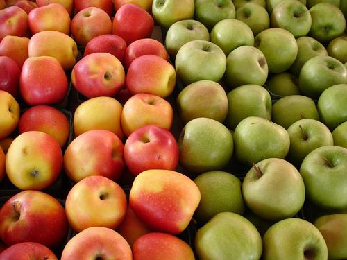 Picture of red and green apples
