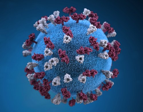 Picture of a virus